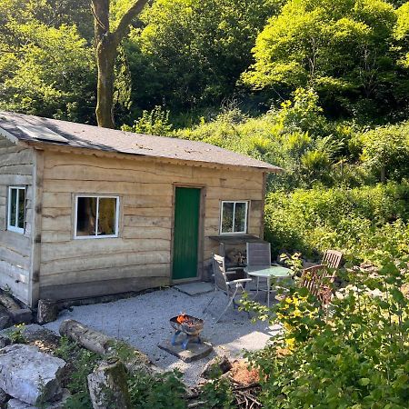 Foxglove Eco Lodge Llanelli Eksteriør bilde